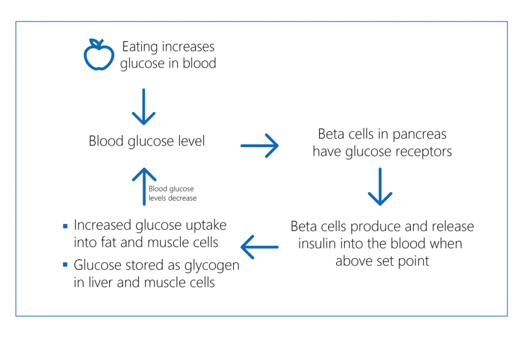 How glucose levels are sensed in the body