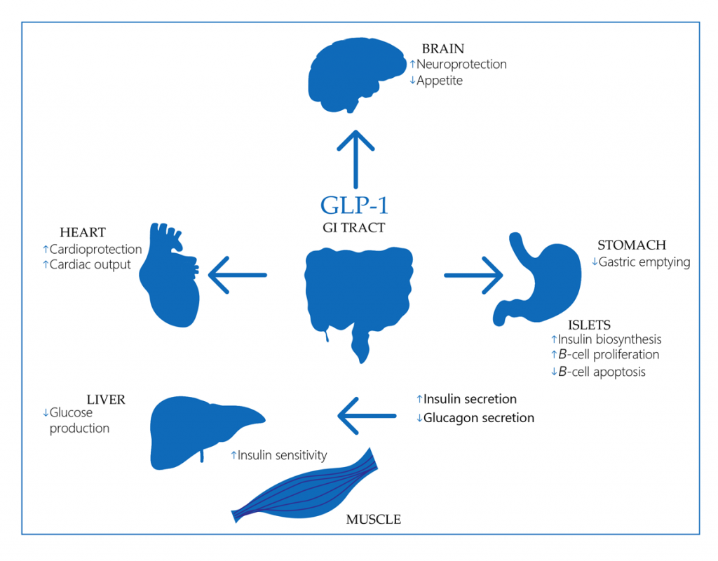 Glucagon-like peptide-1 receptor agonists