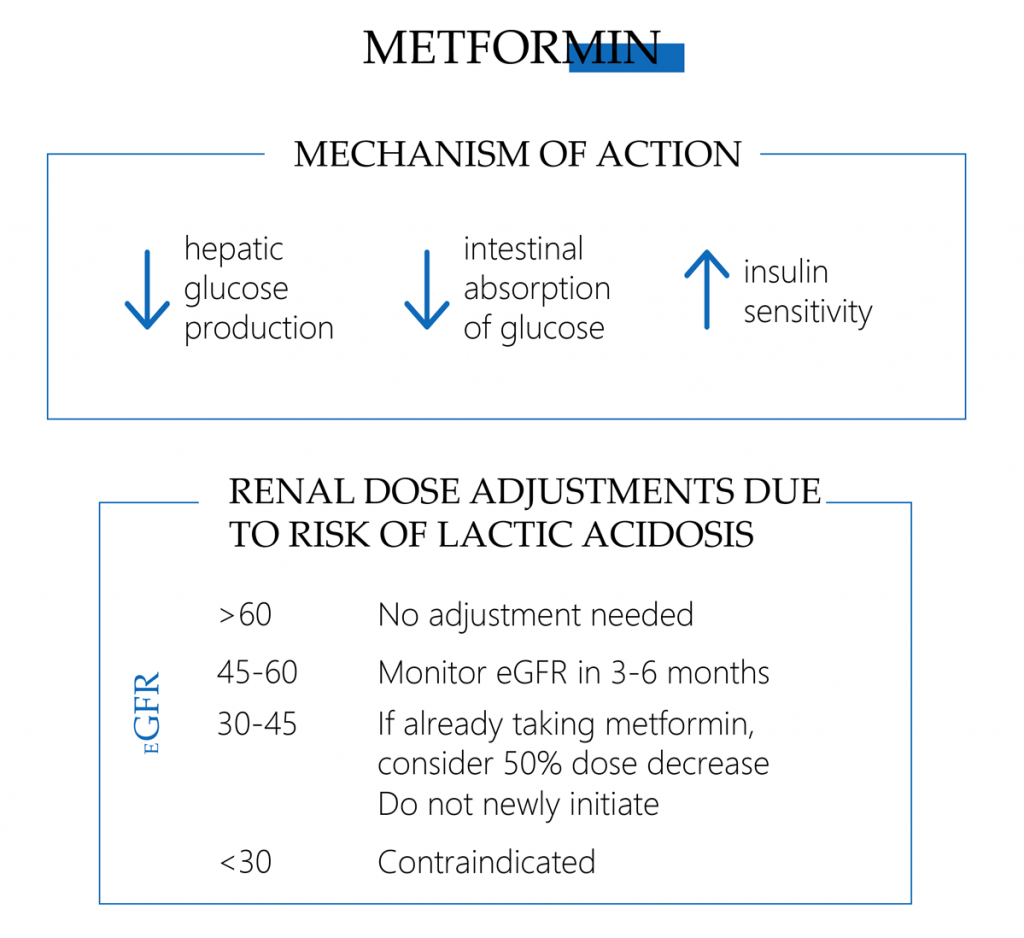 Metformin mechanism of action