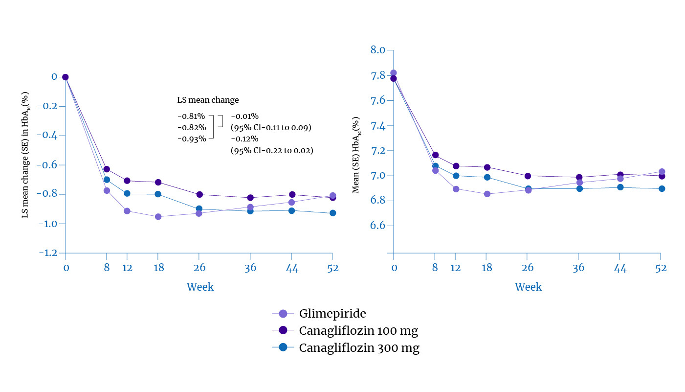 Features of Canagliflozin therapy