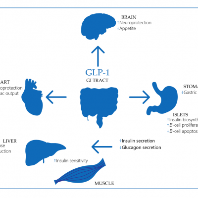 Glucagon-like peptide-1 receptor agonists