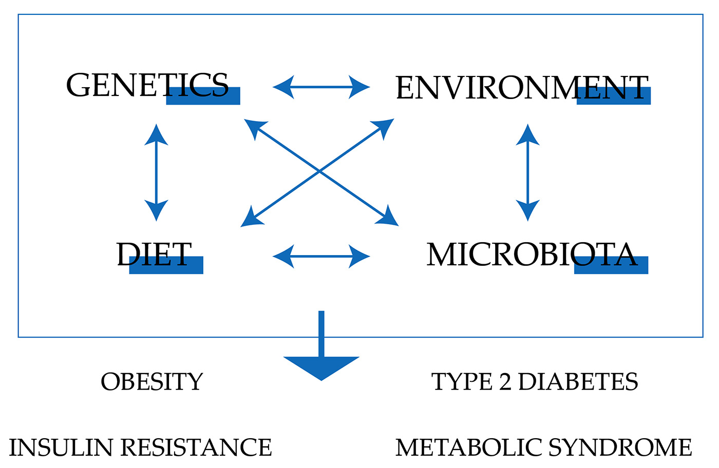 The development of obesity insulin resistance type 2 diabetes and the metabolic