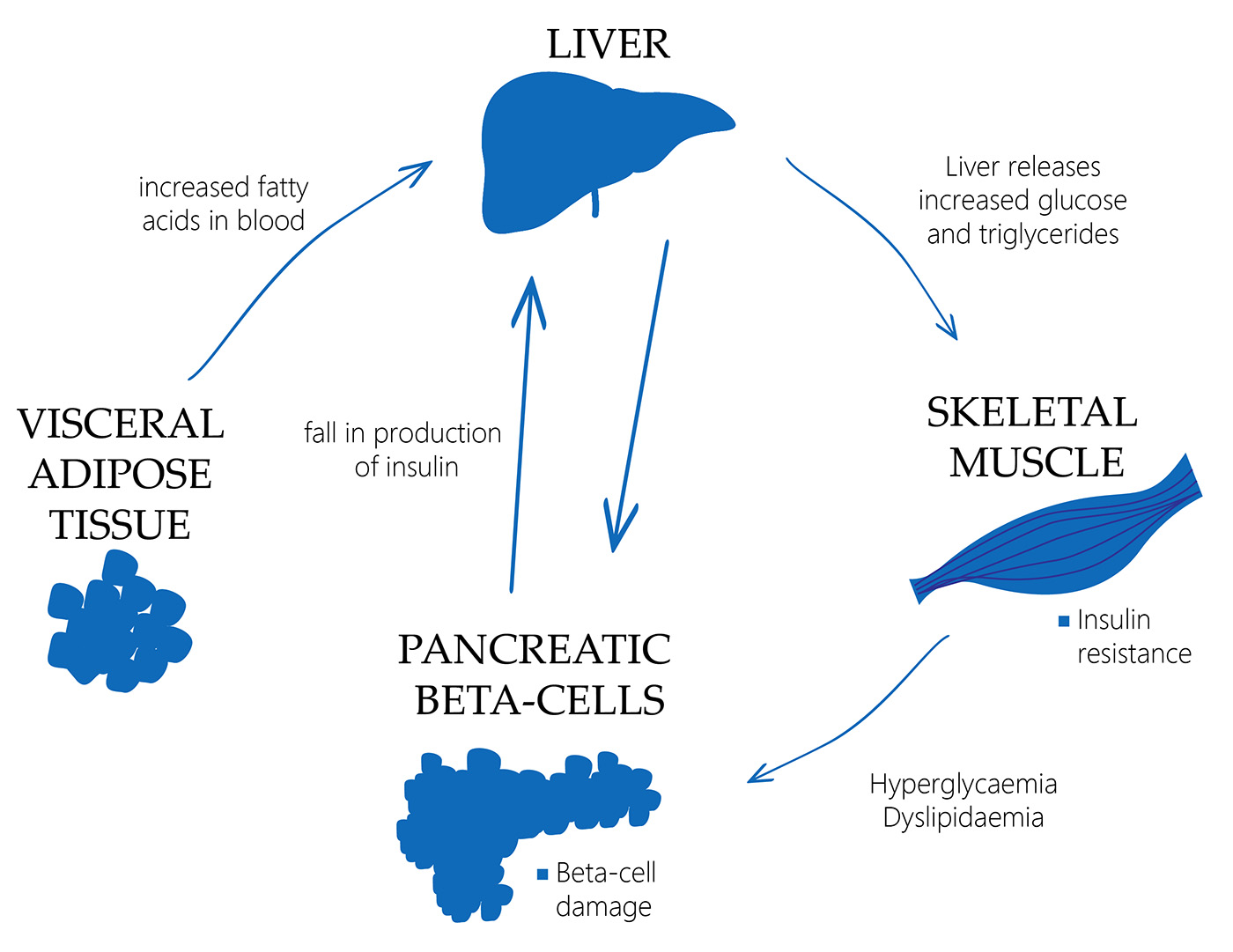 What Is The Link Between Type 20 Diabetes And Obesity ...